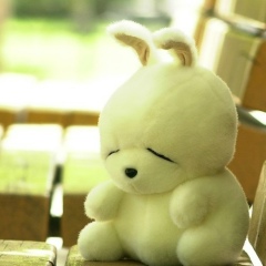 Александр Цой, Санкт-Петербург