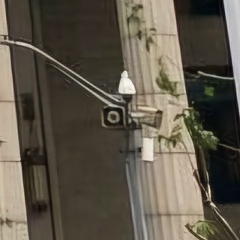 Макс Анцупов, 22.08.1996, Санкт-Петербург