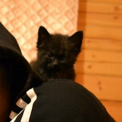 Павел Сумин, 23.07.1989, Иркутск