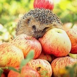 Татьяна Кислощаева, 02.09.2008