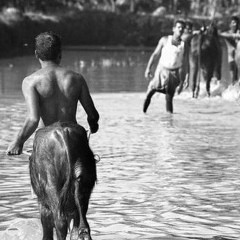Anuar Basenov, 17.06.1994, Астана