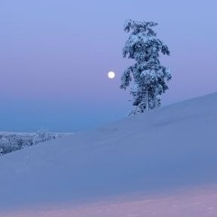 Александра Макарова, 27.01, Санкт-Петербург