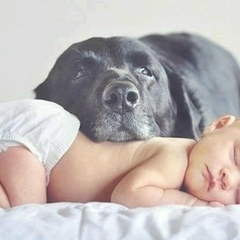 Дарья Певцова, 04.08.1990, Москва