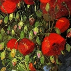 Daria Gus, Санкт-Петербург