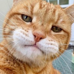 Андрей Борисов