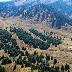 Алмагуль Алимбековна, Алматы