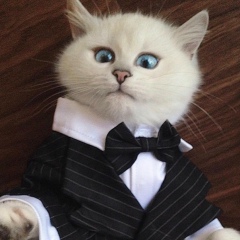 Тимур Макаев, 16.10.1990, Москва