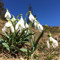 Юлия Юдина, 14.02, Запорожье