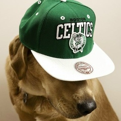 Макс Чёрный, 25.07, Москва