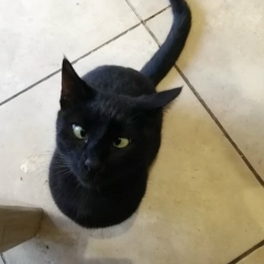 Артем Антонов, 22.03.1984, Санкт-Петербург