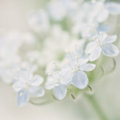 Чулпан Касимова, Казань