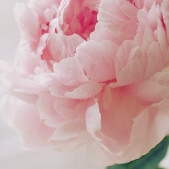 Polina Samarina, 16.03, Milano