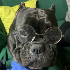 Сергей Сенько, 31.01, Санкт-Петербург