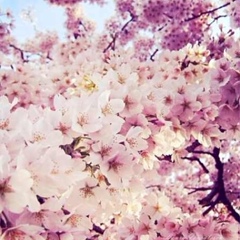 Айгерим Сыздыкова, 07.07, Алматы