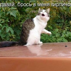 Николай Бородин, Королёв