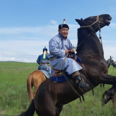 Айдын Дун, 13.06