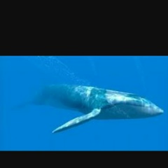 Адам Масаев, 06.06.2002, Гудермес