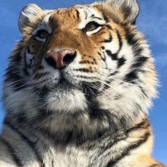 Алимхан Рассуханов, 14.08.2003, Шали