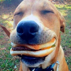 Сергей Хен, 16.02, Москва