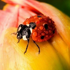 Анна Степанова, 06.08, Петрозаводск