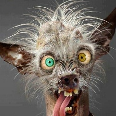 Юлия Политыко, Красноярск