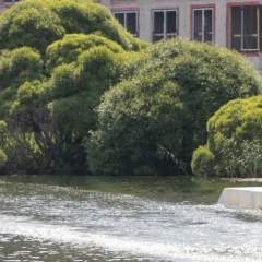 Натуля Малушина, 22.01, Санкт-Петербург