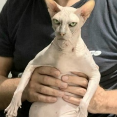 Liudmila Rekshan, 16.02