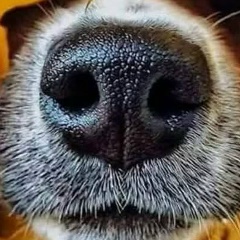 Ирина Арсеньева, Москва