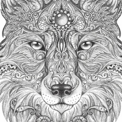 Виталий Никольский, 15.12.1979, Екатеринбург