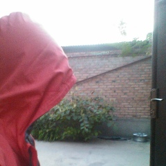 Тамерлан Радуев, 26.09.2001, Гудермес