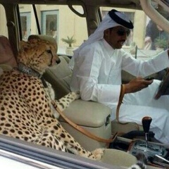 Иса Сайдулаев, 20.08, Грозный