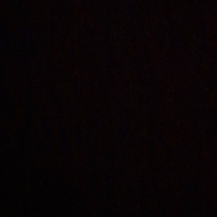 Сергей Жинкин