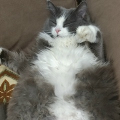 Ирина Кондакова, 20.11, Козельск