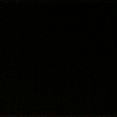 Ігор Полюхович, Киев