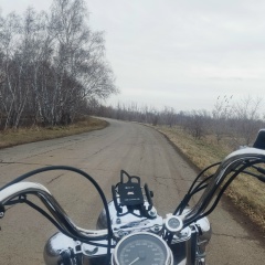 Роман Мануилов, Омск