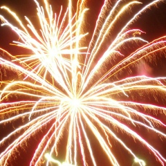 Alex Arca, 29.04.1988, Ciudad de Guatemala