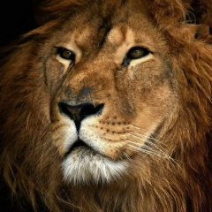 Алексей Ильичёв, 05.12.1988, Москва