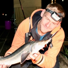 Дмитрий Кардаш, 08.05.1983, Москва