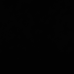 Дина Готфрид, 30.06.1988, Тверь