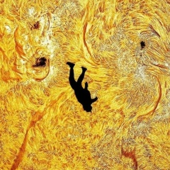 Александр Зимовнов, 26.02, Palo Alto