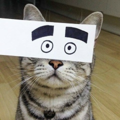 Серёга Колесник