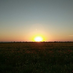 Григорий Петров, 17.12.1980, Одесса
