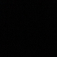 Асема Омирбек, Шымкент