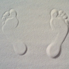 Ivan Pugatchev, 31.07, Санкт-Петербург