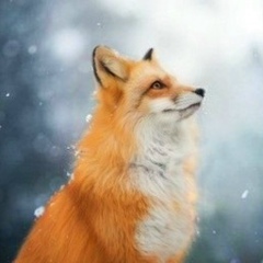 Александр Хх, 04.04.2002, Столбцы