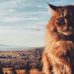 Іра Лазарук, 20.08.1994, Киев