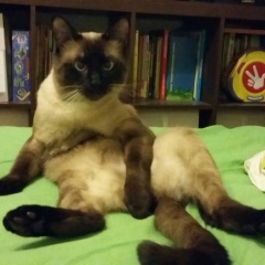 Илья Николаев, 13.06.1982, Москва