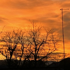 Апти Мусипов, Грозный