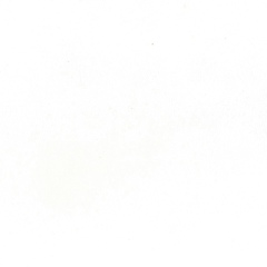 Андрей Мищук, 21.07, Киев