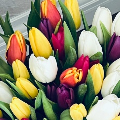 Алёна Краснощек, 06.10, Петрозаводск